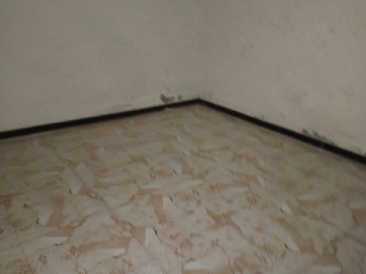 بيت للايجار منطقة الخمس الالف يم مدارس الايثار 
***********
ايجارة 300
غرفتين ومطبخ واستقبال وصحيات وطارمة 
طابق ونص
