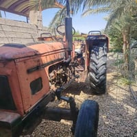 عنتر ٧١ • جاهزه • ديالى شهربان