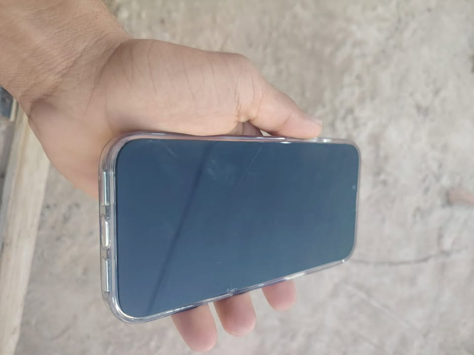 ١٣ برو ماكس • ٢٥٦ • بطارية ١٠٠