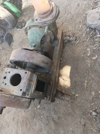 خنزيره • كربلاء • طوريج
