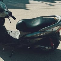 ماكس ثعلب • مكفولة • قوية