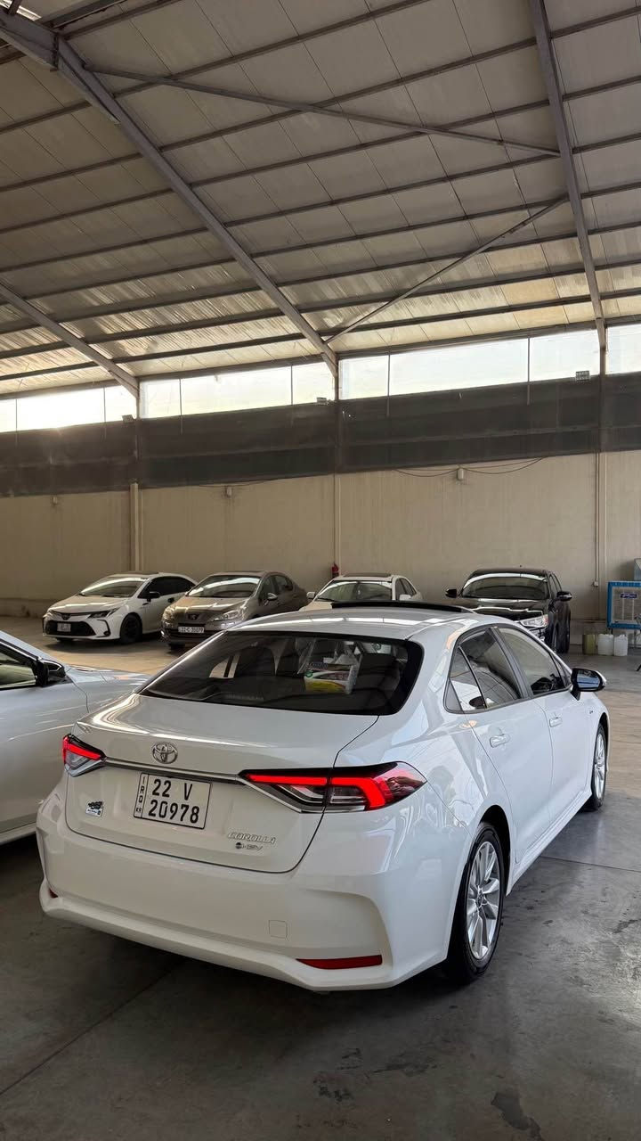 Toyota Corolla 2025
١٥ هەزار رۆشتوە
بێ بۆیاخە تەنها یەک pdr بچوکی هەیە
*********** سوران, أربيل

