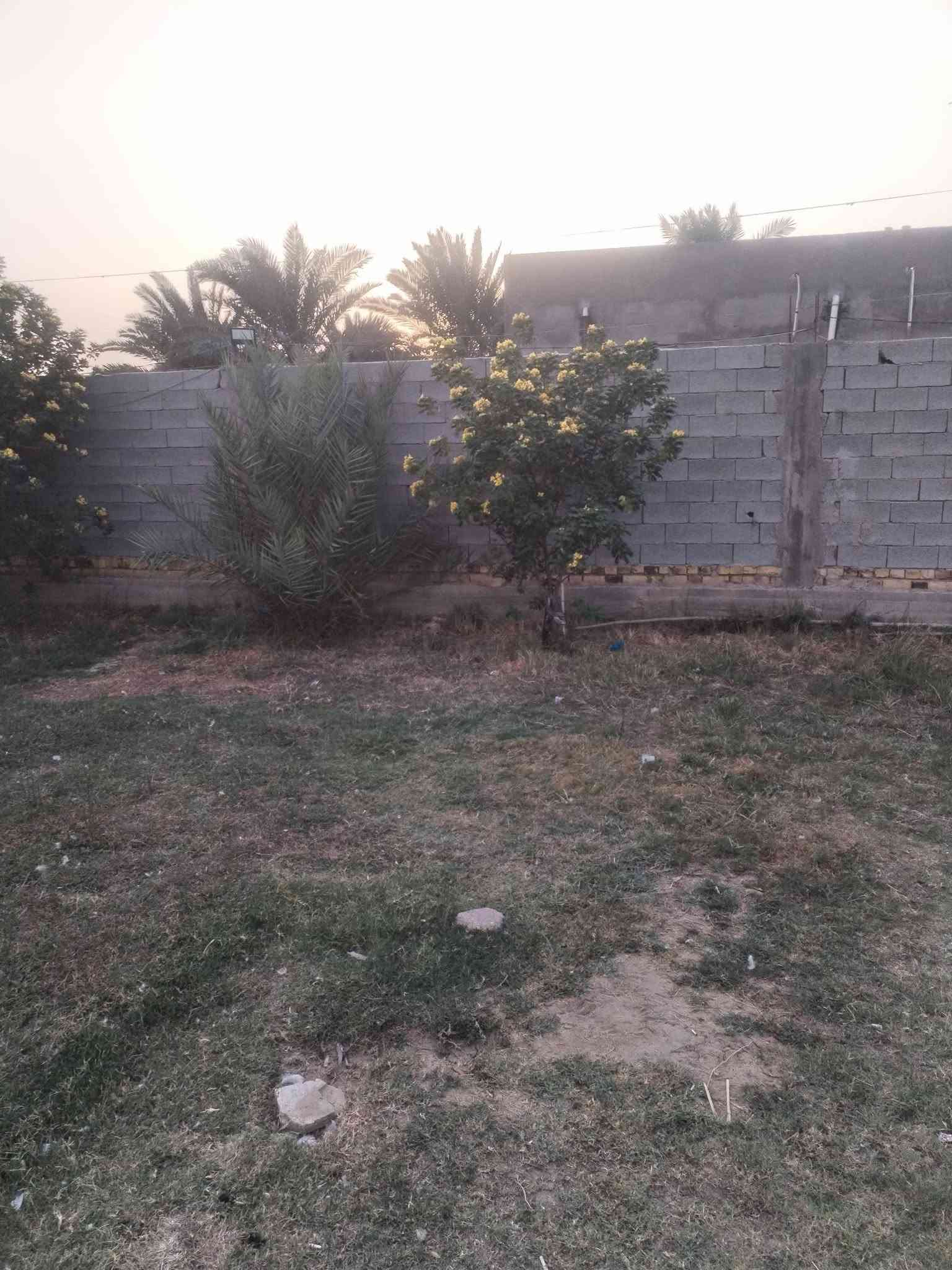 بيت زراعي • ٩٥٠م • بناء حديث
