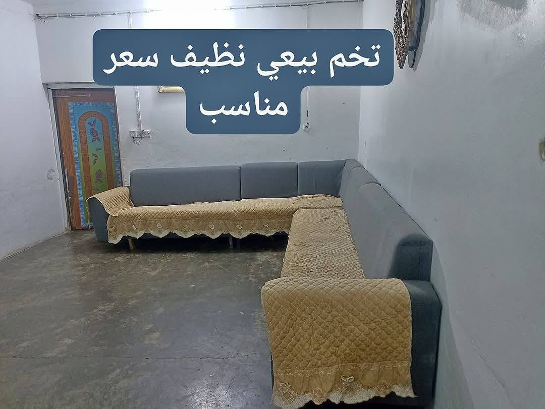 الحقلانية • كاونتر ٤م • تخم نظيف