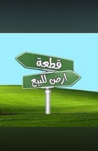 الفلوجه النعيميه المسالمه • ١٠٠متر • طابو زراعي