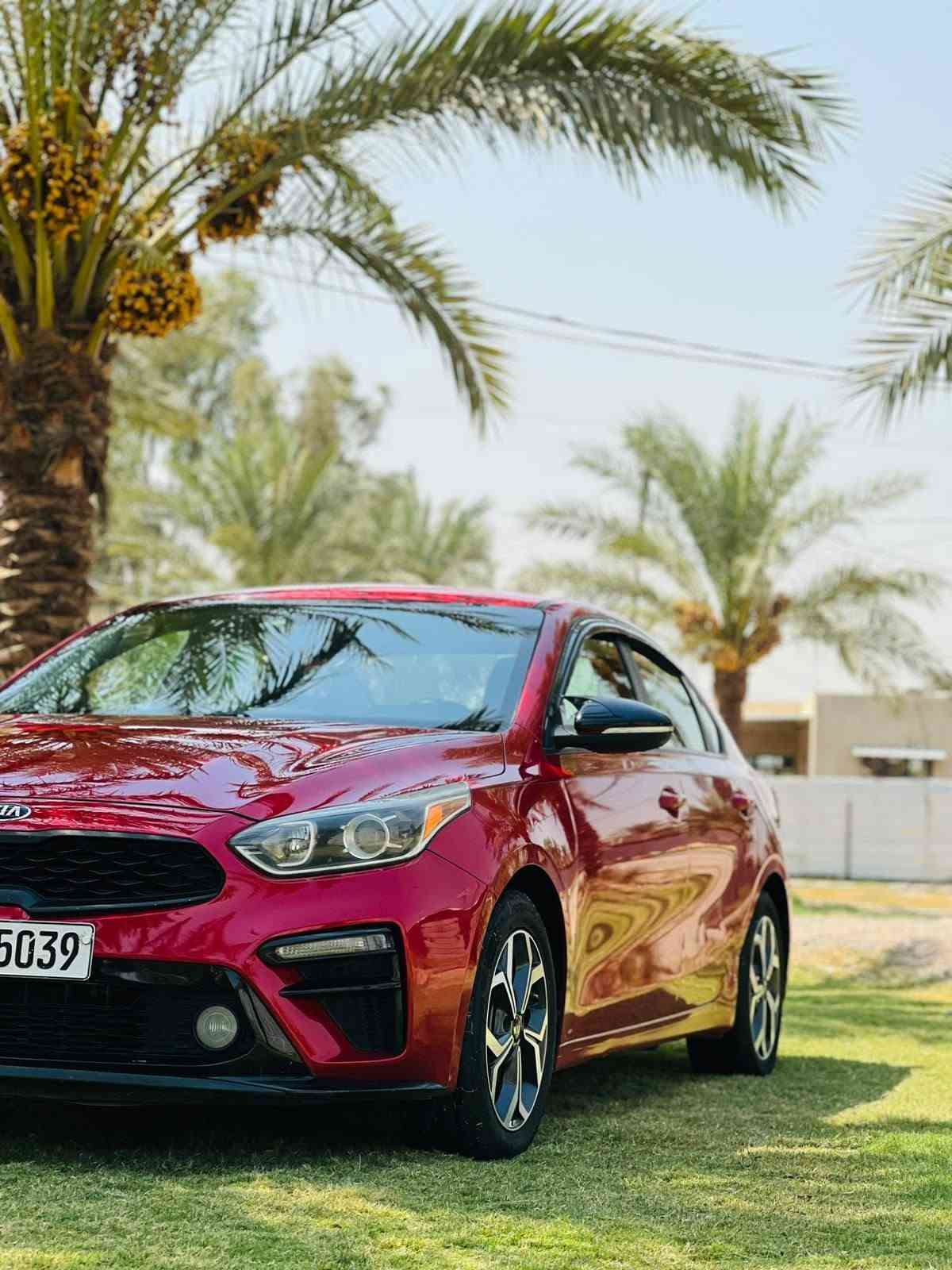 السلام عليكم
كيا فورتي  موديل 2019

رقم اربيل تحويل مباشر

 • المحرك: 2000 دوش

 • شاشه تدعم الكاربلي والاندرويد اوتو 

 كاميرا خلفية

 • تحكمات ستيرن

 • السيارة نظيفة جداً

ماشية 118

حادث السياره صبغ بالهلال مال جاملغ الخلفي + بارد بين البابين 

سونار مرفق بالمنشور 

السعر 121 وبيها مجال 

مكاني بغداد الكرخ 

***********
