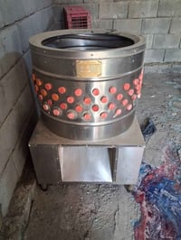 هلاسه دجاج