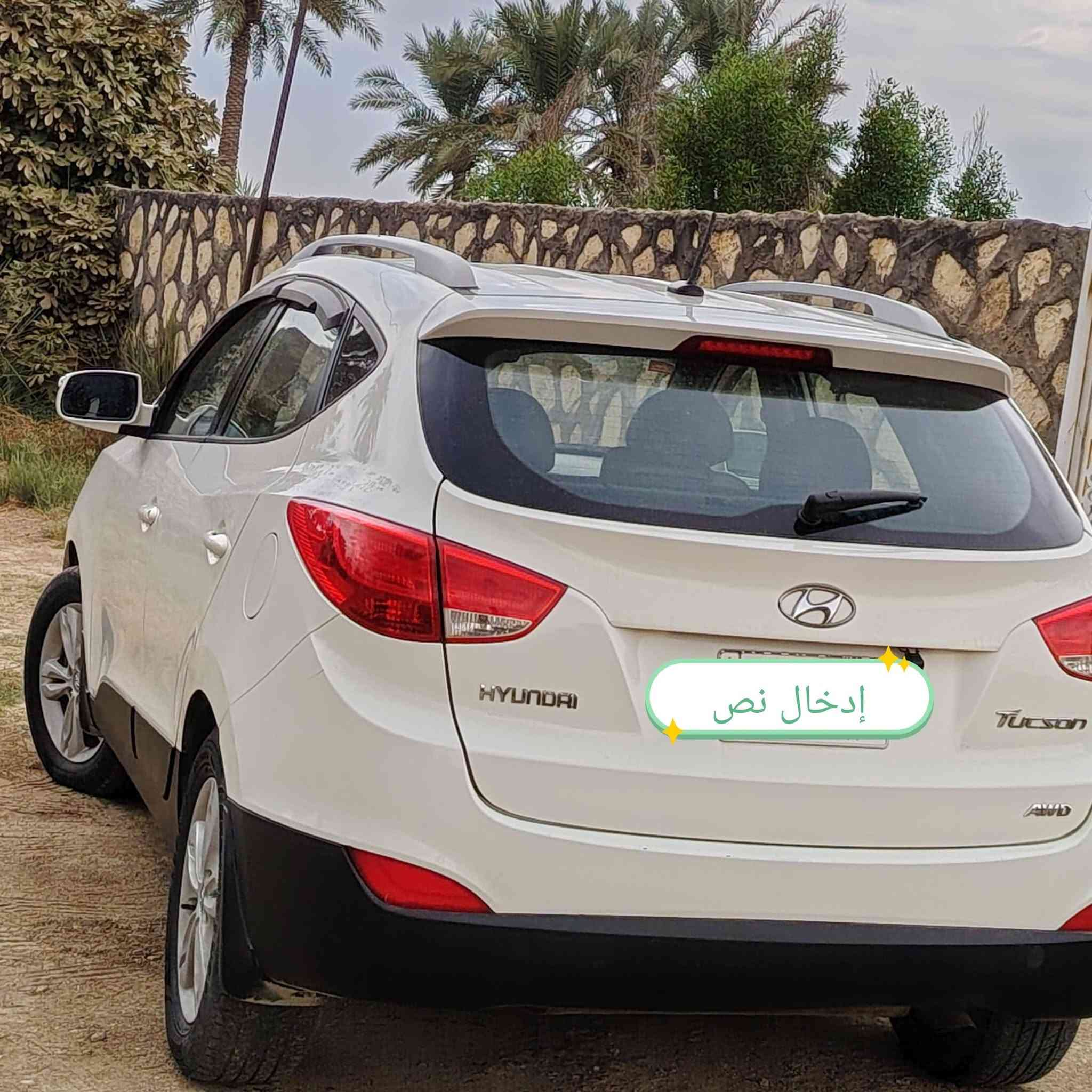 توسان • ٢٠١٣ • صبغ فقط
