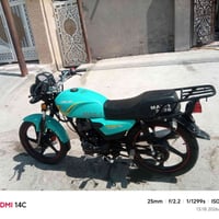 شاينك • ٢٠٢٦ • مكفولة