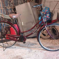 دراجة • البصرة • أبو الخصيب