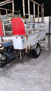 ستوته • ام الطير • ٢٠١٨