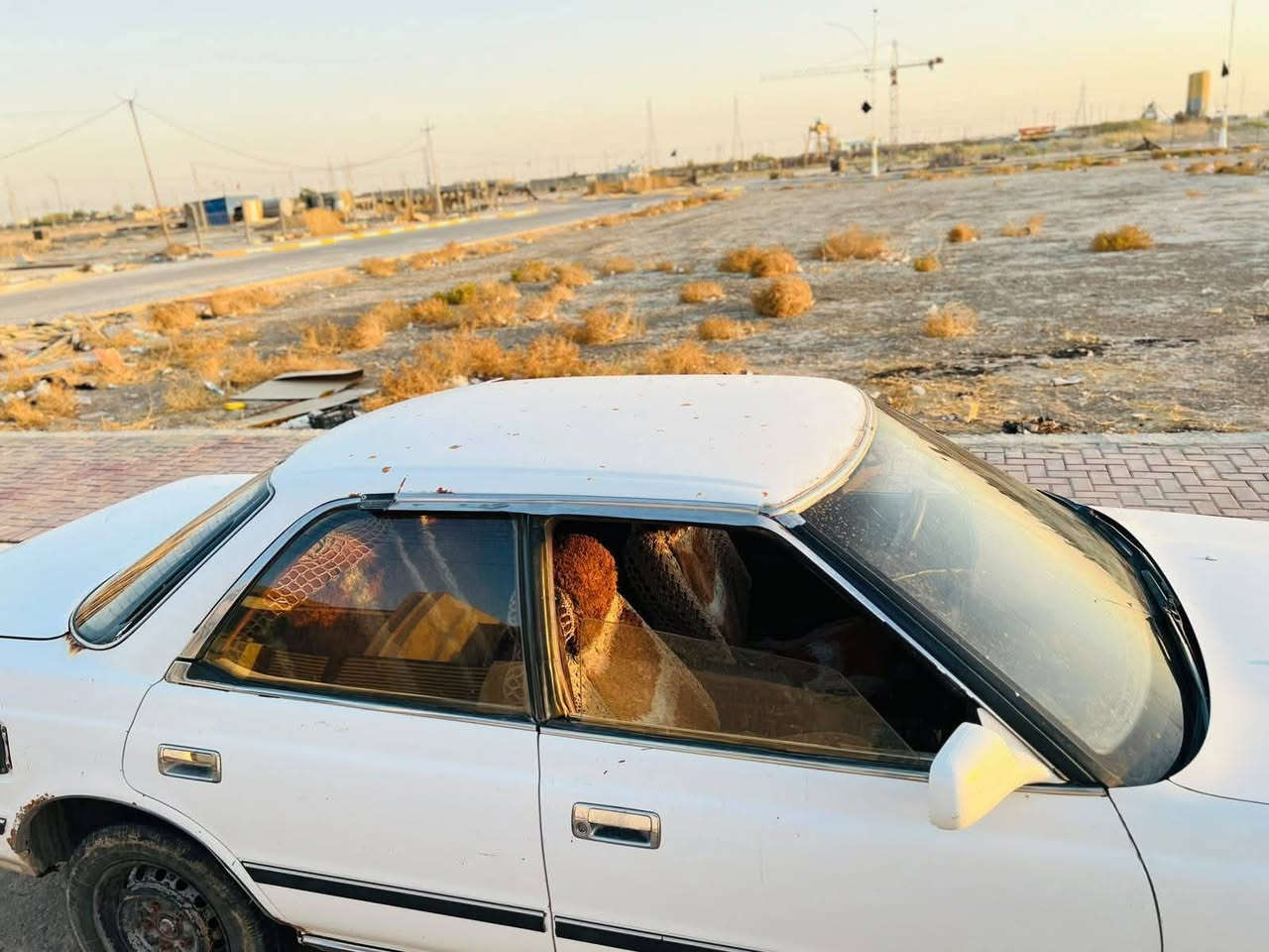 موديل ١٩٩١ • ضربه قوية • سنوية ل٢٠٣٠