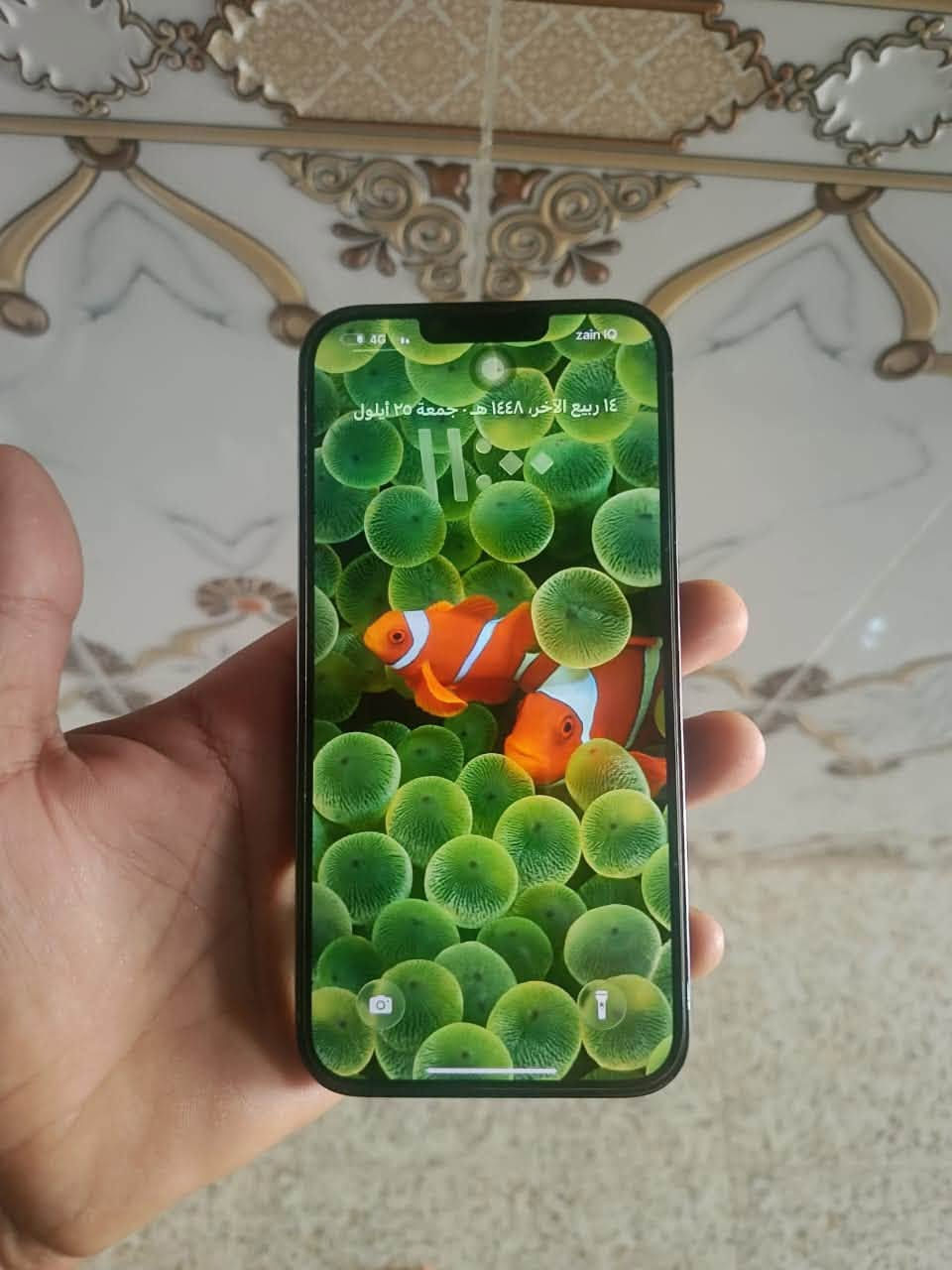 🔥 للبيع iPhone 13 Pro Max 🔥
📱 ذاكرة 512GB
✨ الجهاز نظيف جداً وحالته ممتازة
✅ بدون شخط أو مشاخيط تُذكر
🔋 البطارية مبدلة فقط
💎 الجهاز استخدام شخصي ومحافظ عليه

💰 السعر: 650,000 ألف دينار فقط

📞 للتواصل واتساب:
***********

⚡️ الجاد يتواصل، والسعر واضح.
