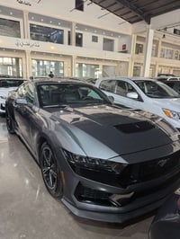فول مواصفات • ٢٠٢٤ • اربيل