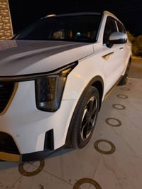 سورنتو • ٢٠٢٤ • سبع راكب