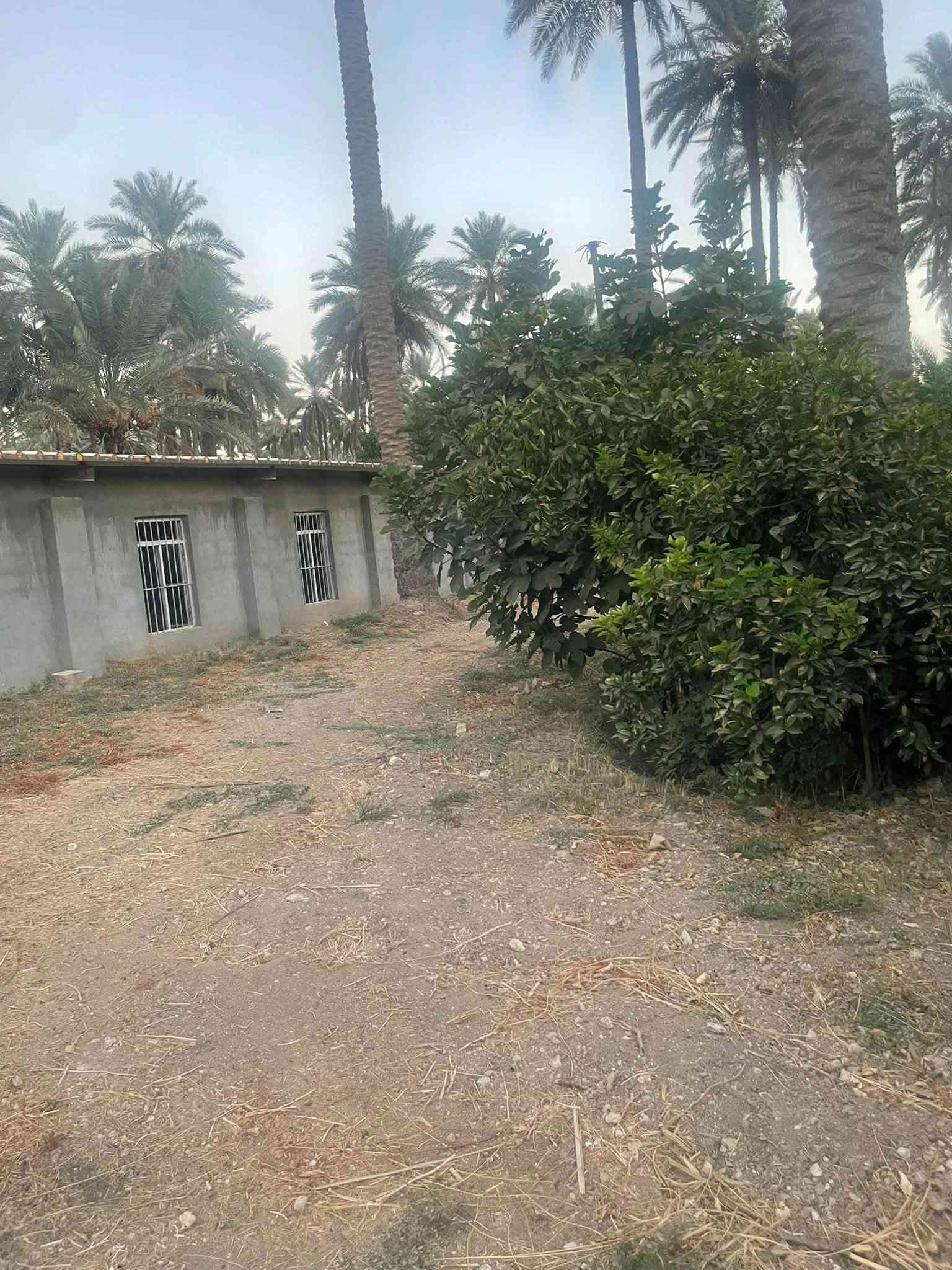 شركة دواجن • قاعتين جاهزات • ٢ دونم