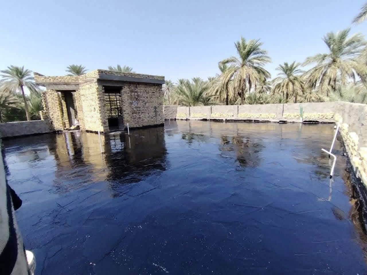 تزفيت سطوح • ايزكام • ماستك