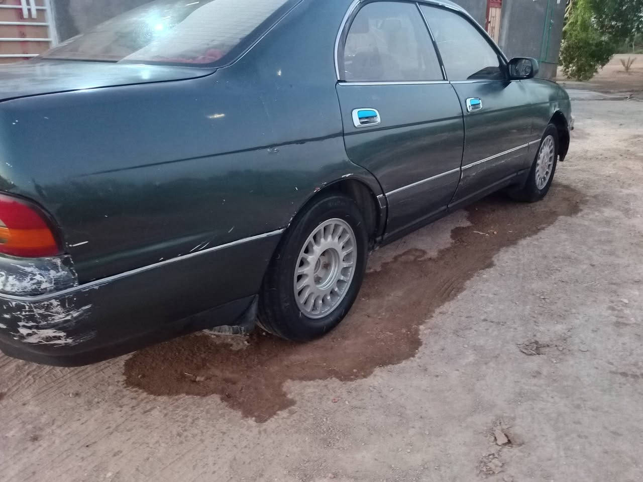بطه • نضيف • ١٩٩٢