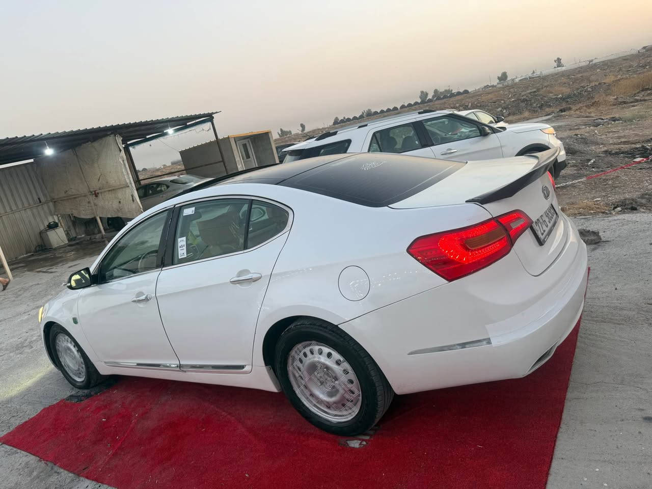 ٢٠١١ • سونار • بدون لوحات