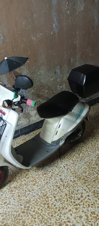 زنجيل • تحريكه نار • كهربائيات