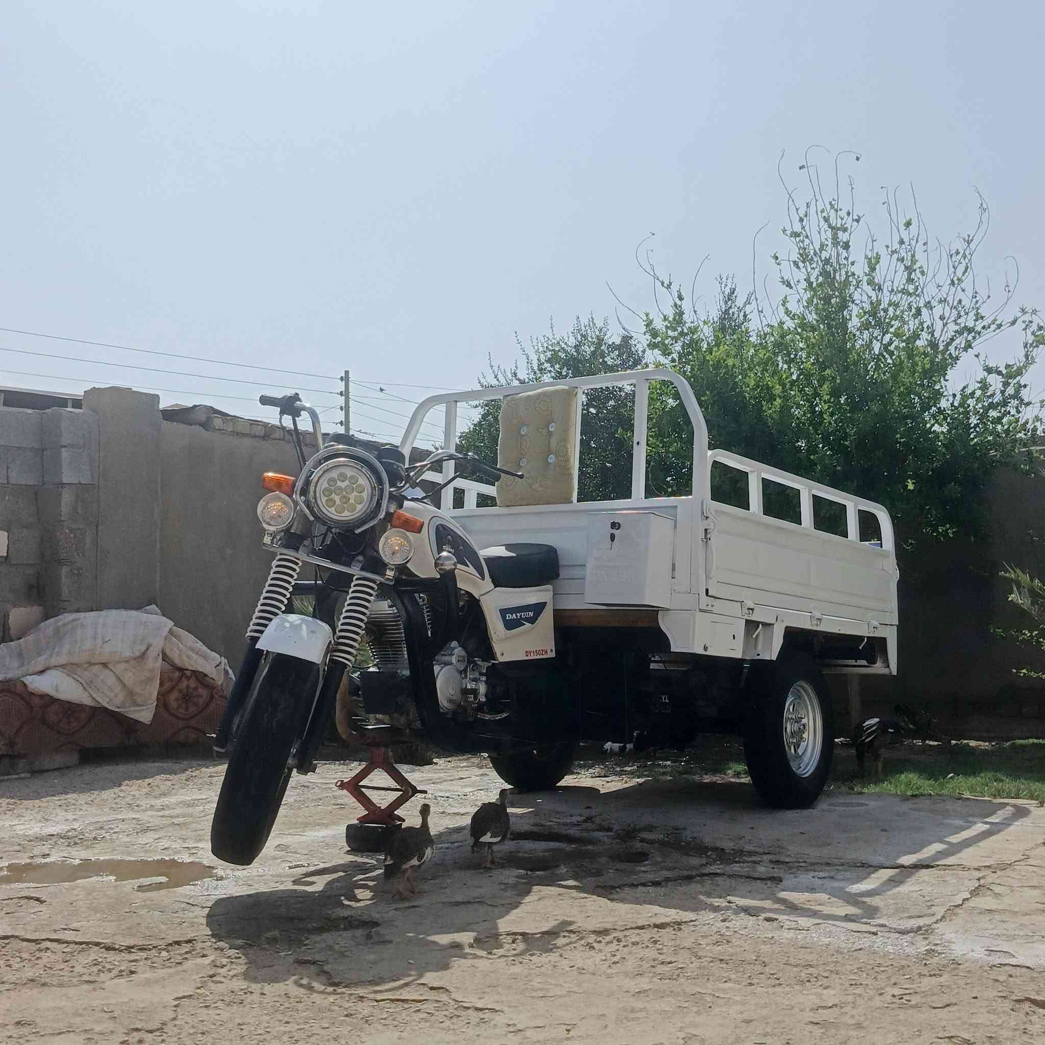 ستوته دايون موديل(14)اوراق اصولي كفاله عامه محرك وكير بوكس جدد تايرات3 جدد سدر بلجيس كهربايات عامه شغاله قطرت خياس ولحيم ماكو 
مكاني ذي قار(قضاء النصر) ***********
