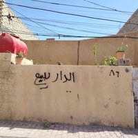 ١٠٠م • مؤجر • فرع سيد علي