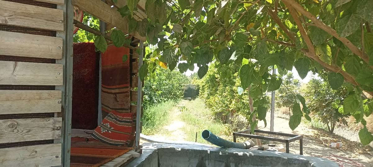 سلام عليكم يتوفر دونم ونص سند 25 تحويل ثاني يوم بسم المشتري العنوان المدائن الجعاره شارع سيد علي تفاصيل الاتصال وبيك خير ودلل بدارة أبو فهد العيساوي ***********
