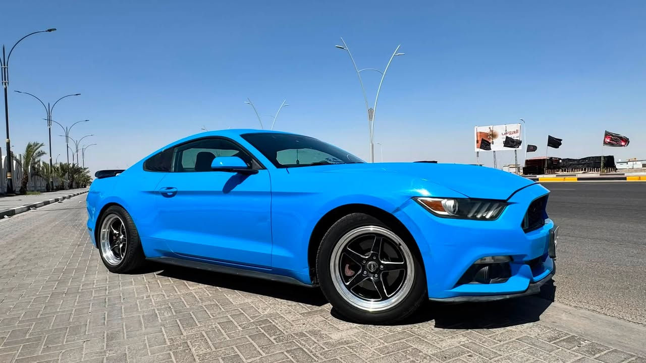 موستنك 6 سلندر
موديل 2017 
لون مميز 💙
عليه دبات HT power
ويل ويلد

محرك گير كهربائيات كفالة 
لغود شواصي كفالة 

بيه 3 قطع سطحيات بدون دواخل 

تبديل بنيد بحادث امريكا و تصليح باب و جاملغ بالعراق 
مثل ما موضح بالسونار 

السونار بتاريخ 2026/6/16

حادث امريكا و حادث العراق و رقم الشاصي موجودات بالصور 

الحادثين سطحيات 

ايرباك استيرن فقط 

ماشية 64 الف ميل 

السيارة رقم بغداد بأسمي 

مكان السيارة البصرة 

لتواصل ***********

السعر 138
