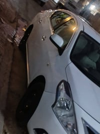 صني هندي • ٢٠٢٠ • رقم اربيل