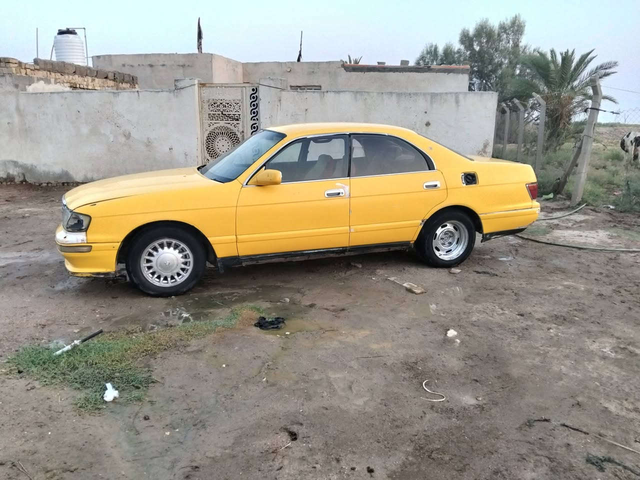 بطه كفاله كص ونقل وعيب وكير ومكينه وتخم تاير وحداديه جديده كهربائيات شغاله ماعايزه الف للبيت ولمراوس رقم صلاح الدين ألماني سنويه كرتوني ثاني يوم مداور مكاني ناصريه رفاعي سعرها 25بيها مجال ***********
