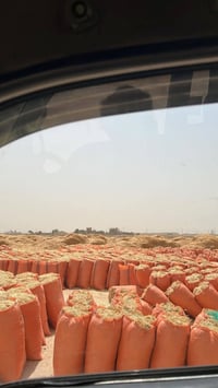 تبن • للبيع • بالمكان