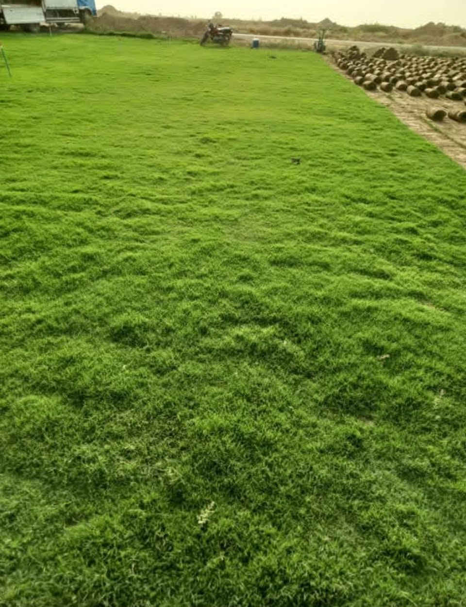 حديقة بيتك احلى ويانه😍😍 تصميم اجمل الديكورات للحدائق نقشات لاين حصو الوان واجمل النافورات والشلالات ومنضومات السقي 💐شتلات دائمة الخضرة وانواع الورد🌷🌹 الجوري وغيره والثيل الهندي الممتاز كرسته وعمل تستلم  جاهز  كل ماعليك مراسلة الصفحه أو الاتصال ***********/*********** واتساب ايضا
