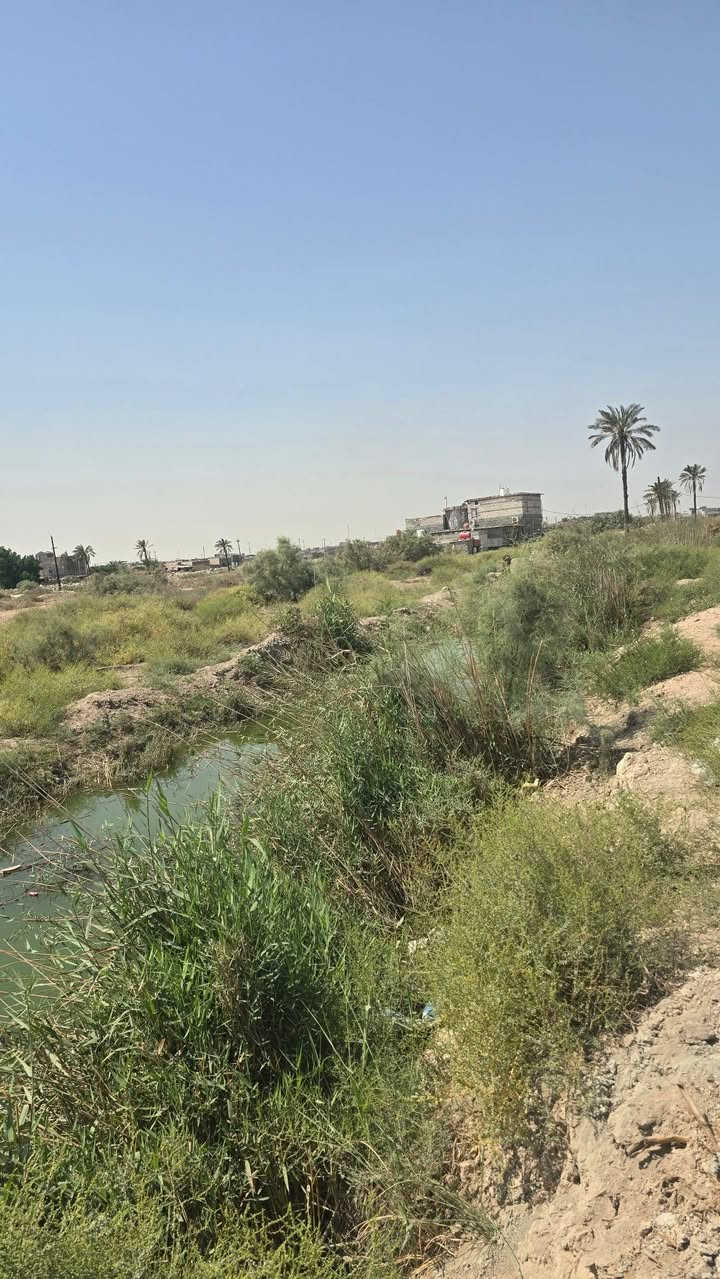 قطعه أرض المساحة 150م وجها 5متر نزال 30متر على نهر جاري نوع العقار طابو مالك صرف زراعي عراقي وكاله مكاتبه ونسخه من الطابو العنوان أبو الخصيب حي العسكري شارع ابو دله سعر بلاش 16مليون الاستفسار اتصل ***********
