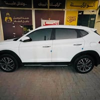 ٢٠١٩ • كفالة عامة • لوحات اربيل