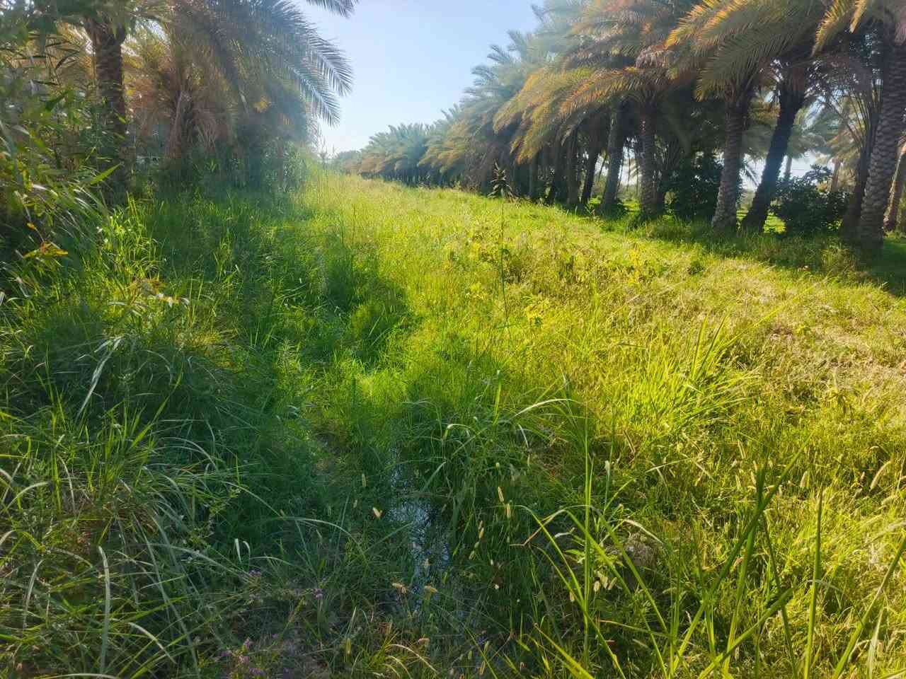 .ياالله.. دونم للبيع.. سند25 طويريج حي المستقبل.. كاافه الخدمات.. ماء كهرباء.. مداور أسهم. للتواصل باقي المعلومات..(***********)////...او مراجعة المكتب مكتب المهندس للعقار طويريج حي الجمعيه
