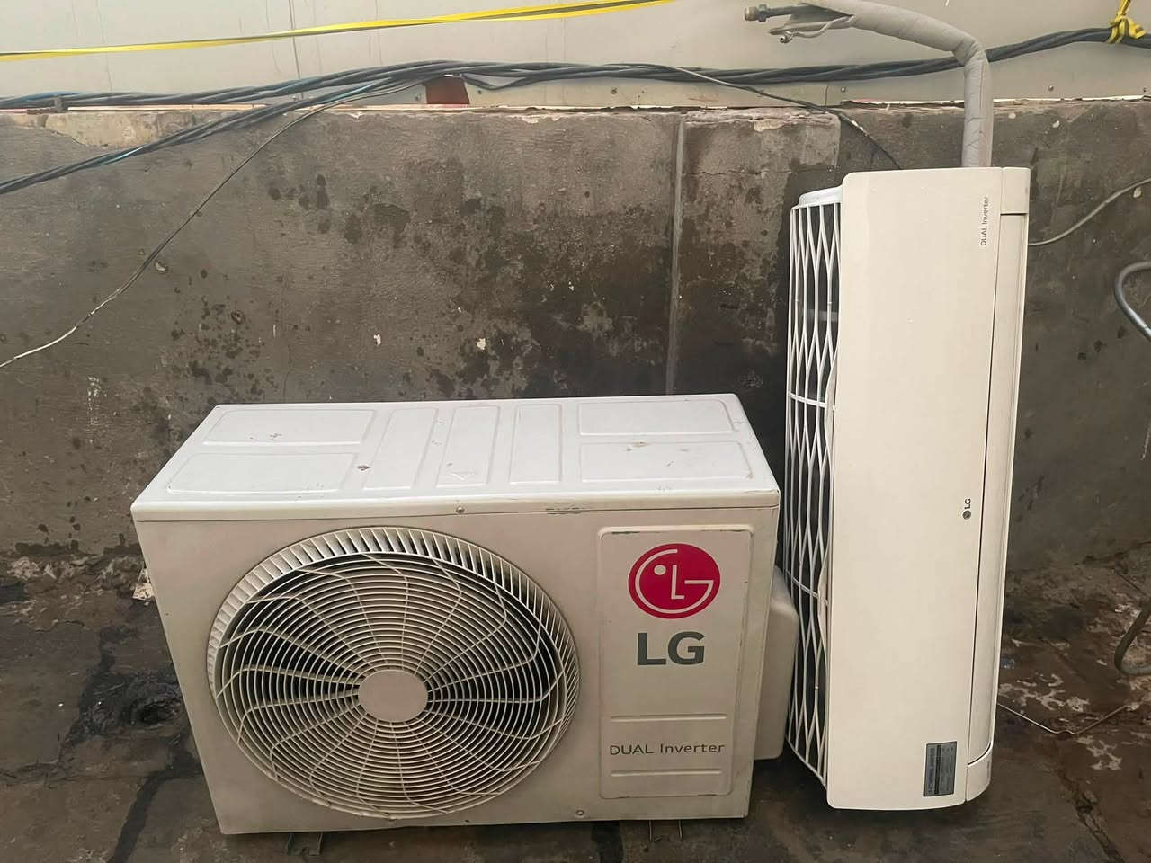 للبيع 2طن. شرط ثلج كامل حته الباترونات اصليه السعر 600.        ***********
