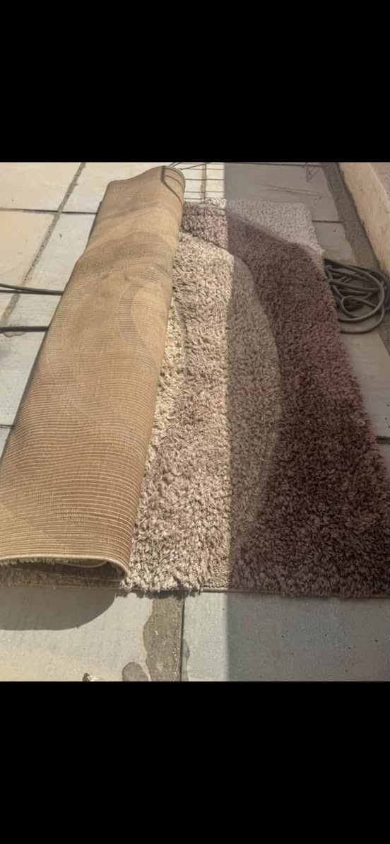 سجادات • نظيفات • للبيع