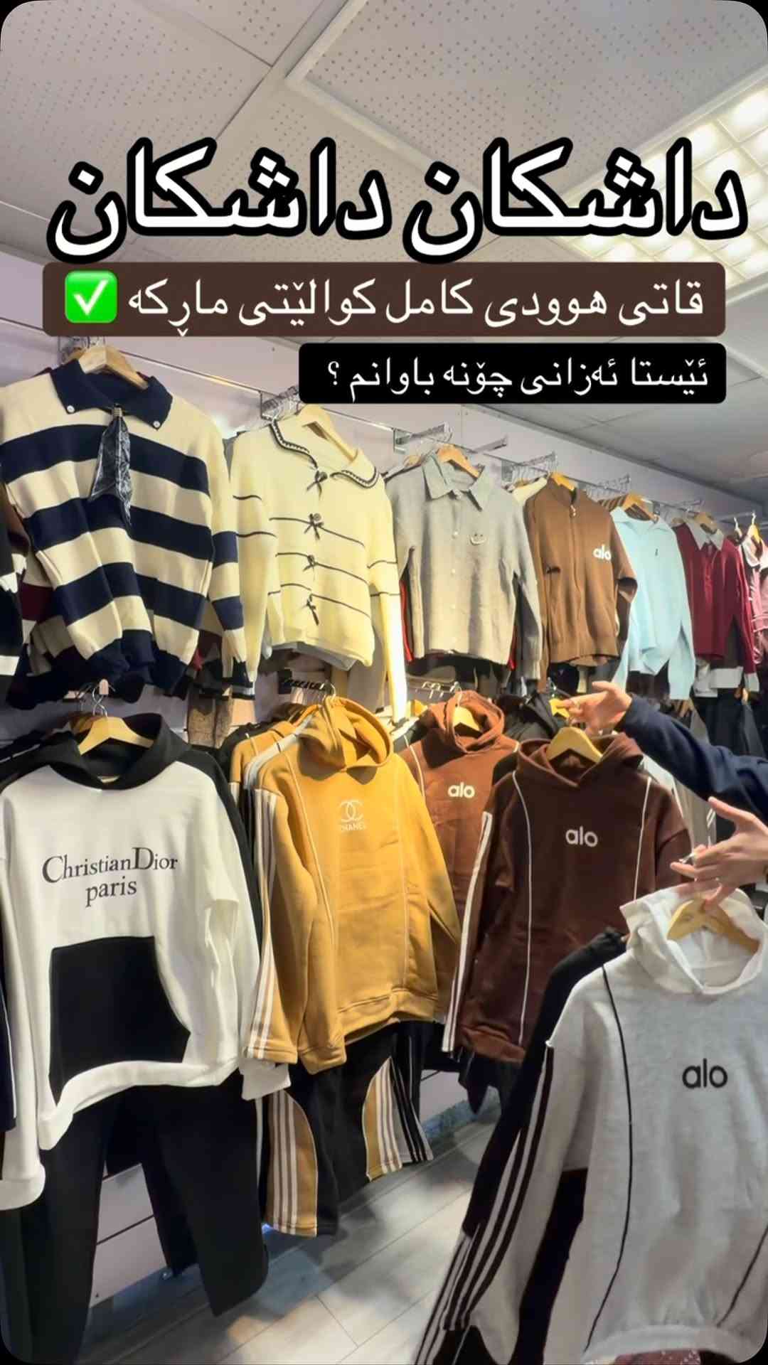 داشکان • هودي • ماركة