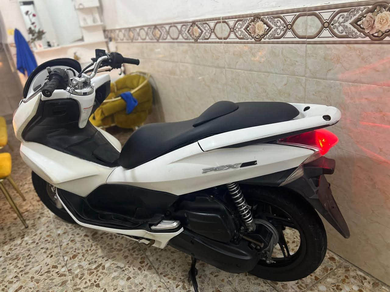 PCX • ياباني • اوراق كامله