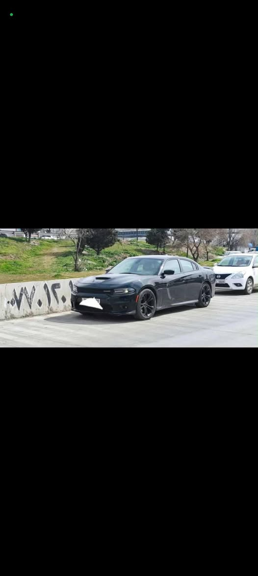 RT 2021 5700 v8 جاملغ خلفي صبغ وباب مبدل نفس اللون بجم كبس بدون ايرباك *********** رقم اربيل دولي تحويل ثاني يوم سنويه ل ٢٨

نص مكتوب في الصور:
- سنوني اليوم، 3:46 ص 10 / 10
- 2 / 10
- 4:14 سنوني قبل 27 دقيقة رد