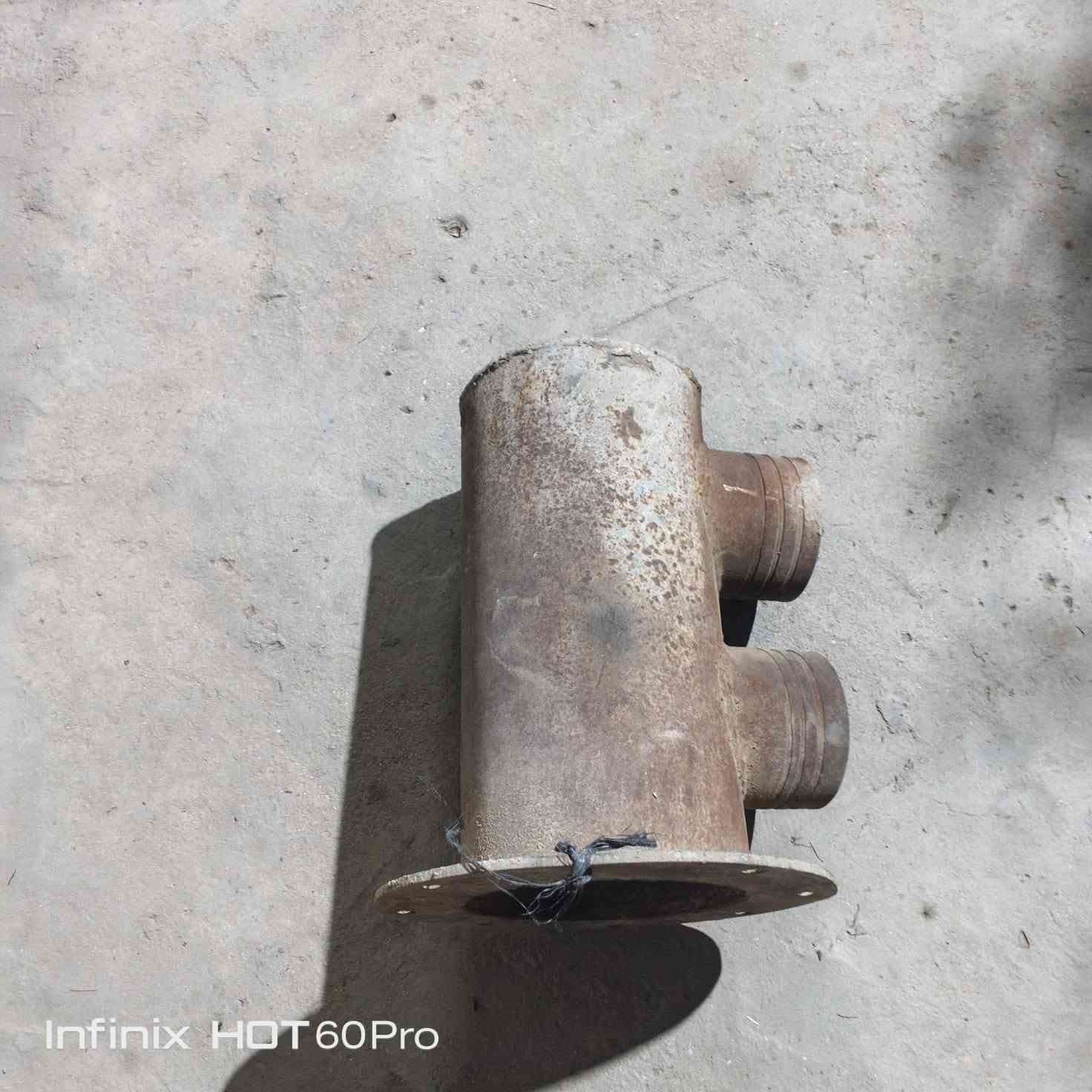 مماص خنزيرة • بغداد