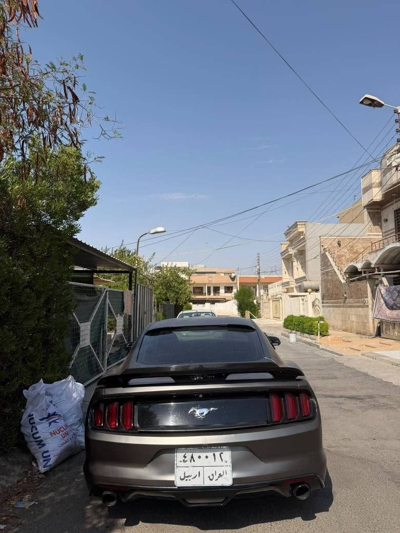 Ford mustang 2016 v4 Ecoboost
سەیارەکە کامل کراوە بە مات زەمانی ٥ ساڵ . مواسەفات کامێرا و کوشن کارەبایی و ٣ گێر و دەشبول ٧ رەنگ سەیارەیەکی تا بڵێی جوان و بێ کێشەیە ١١٠ میل رۆیشتووە گێڕ و مەکینە و تەبرید بە شەڕت مەکینەی گۆڕاوە ٢٠٢١ لەسەر دانراوە بێ کرانەوە . بێ مەسروفە و وەکو لێدران سەیارەکە ٤ پارچەو قنجێکی لە سەقفی هەیە چاکراوەتەوە و بە عام دەیفرۆشم پێشی کەپسە قنجی نیە جەمپەکی پشتی هەیە کەمێک شانسی پشتەوەی گرتووە 

نرخ: 101$ کەمێک مەجالی تێدایە نزیک 7 وەرەقە غەرامەی لەسەرە لە پاش مەعامەلە دەگەڕێتەوە
*********** أربيل, العراق
