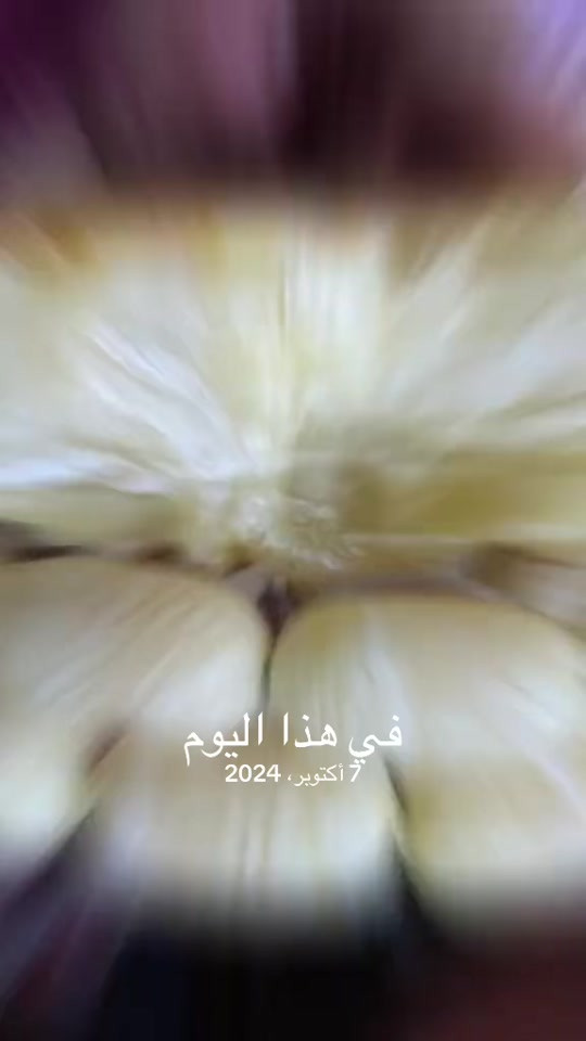 في هذا اليوم • ٧ أكتوبر ٢٠٢٤