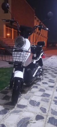 فول • شغال • بصمة