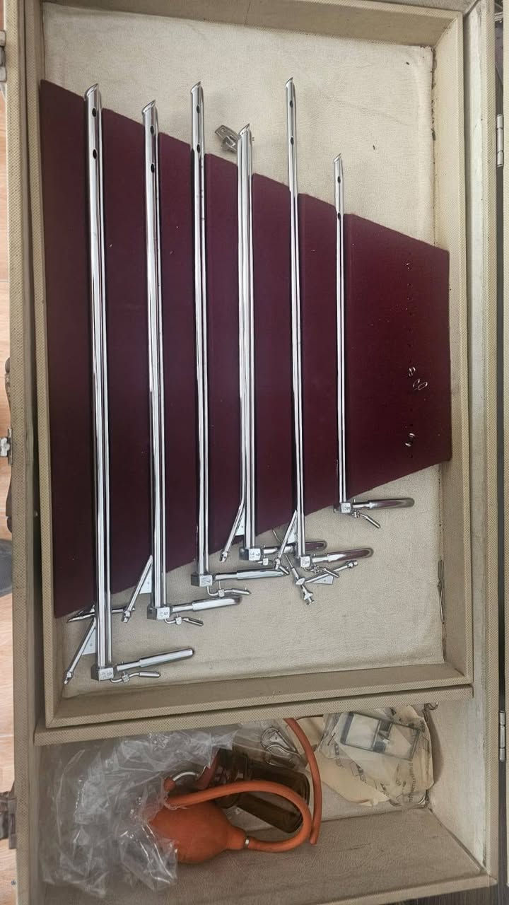 سيت ناظور • حنجرة • قصبات هوائية