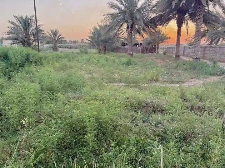 السلام عليكم ورحمة الله وبركاته
ارض للبيع مساحتها دونم طابو زراعي سند 25
الواجهية21 متر تطل على الشارع التبليط النزال 119
فيها دار بناء حديث مساحته 315متر 
واقعة في منطقة الجيلاوية جميع الخدمات من ماء وكهرباء وتبليط والتحويل مباشر 
على من يرغب الشراء الاتصال بالأرقام التالية
***********
***********
