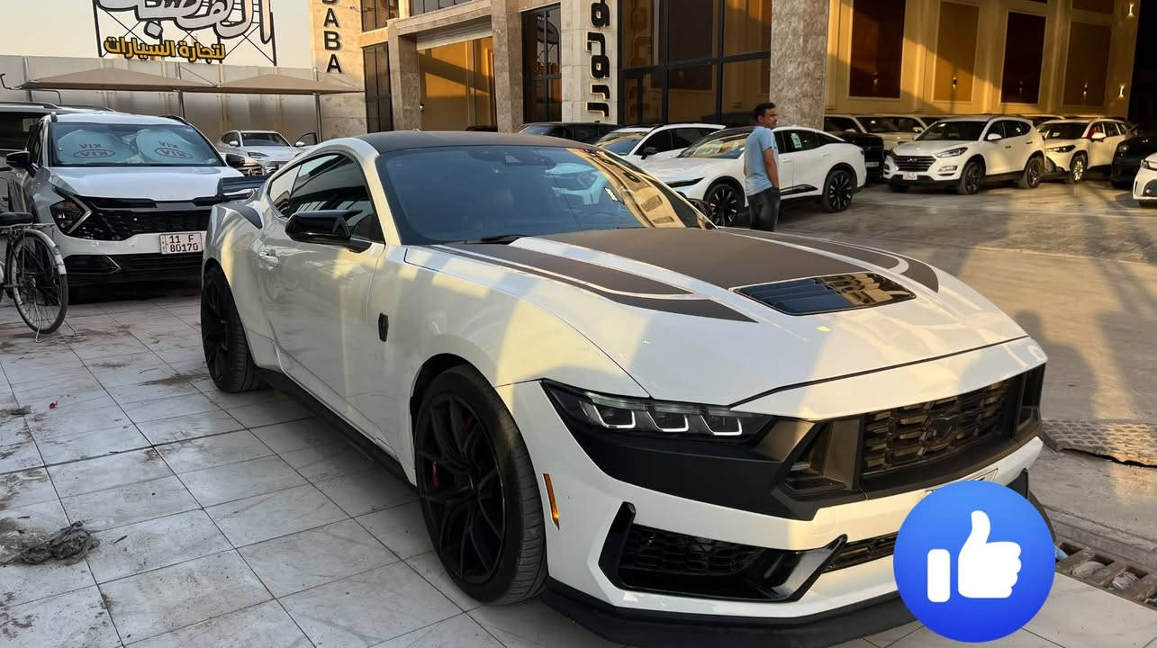 🚗 فورد موستنك GT Premium 2024
سيارة فول فول موصفات اعلى شي دبل فج خلفي🔥

رقم بغداد مميز تحويل بنفس اليوم 

سعر 265 وبيها مجال 🔥

✅ محرك V8 سعة 5.0 لتر بقوة 486 حصان
✅ قير أوتوماتيك 10 سرعات
✅ دفع خلفي (RWD)
✅ شاشة عدادات رقمية 12.4 إنج
✅ شاشة وسطية 13.2 إنج مع Apple CarPlay وAndroid Auto
✅ نظام صوت B&O الفاخر
✅اكتف كزوز بلادي 
✅شاشة ديتجال ورادار امامي خلفي 
✅ مقاعد جلد كهربائية مع تدفئة وتهوية
✅ إضاءة داخلية محيطية متعددة الألوان
✅ تشغيل بصمة ودخول ذكي
✅ كاميرا خلفية وحساسات اصطفاف
✅ مثبت سرعة ونظام المحافظة على المسار
✅ مراقبة النقطة العمياء والتنبيه من الاصطدام
✅ جنوط رياضية قياس20 إنج
عليها اضافات كزوز تزويد وشوت تزويد وبرمجة 
وتفريغ وويل تزويد 

حادث امريكا خشم البنيد صبغ  ودعامية 
وبالعراق صار بيها جملغ امامي بارد وخلفي بارد وتبديل باب نفس الون بدون اي صبغ 
السيارة جهازة ومناقصها ايشي 
مكاني بغداد 

اللون: أبيض
الممشى: 17 ألف كم

للاستفسار***********  التواصل على الخاص
