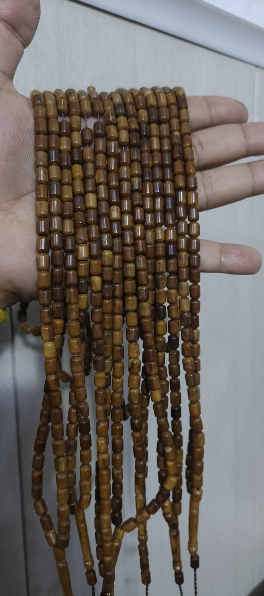 نارجيل شجري • موديل ١٠١