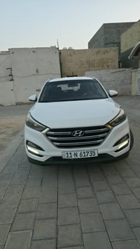 توسان خليجي • ٢٠١٨ • صبغ قطعة