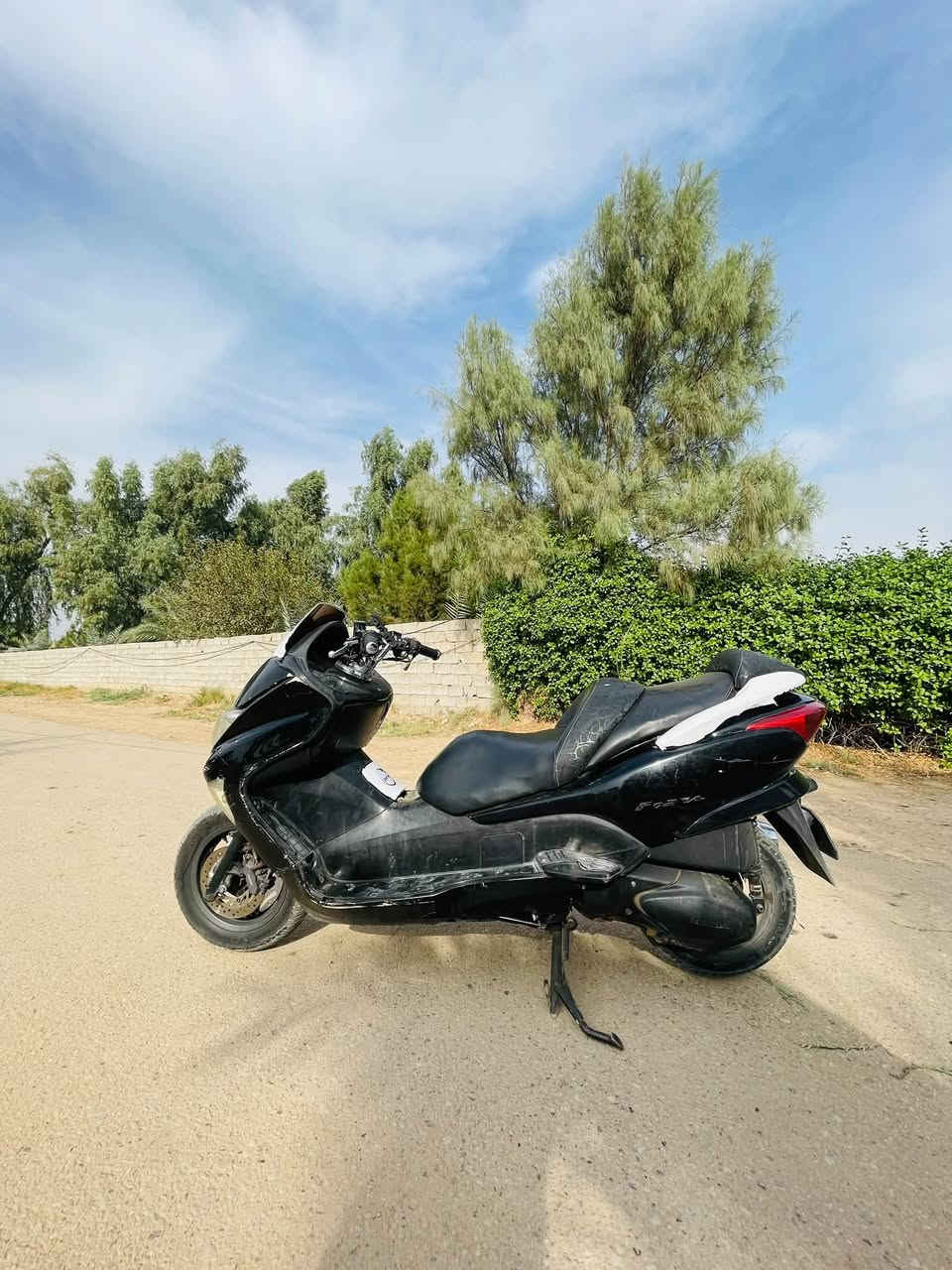 فورزا • ٢٠١٢ • كنعان